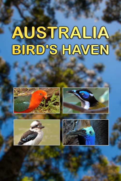 Australia, Bird's Haven (2014) poster
