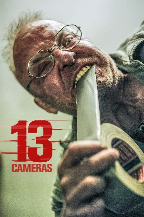13 Cameras (2016) poster