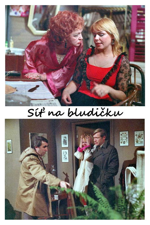 Síť na bludičku (1983) poster