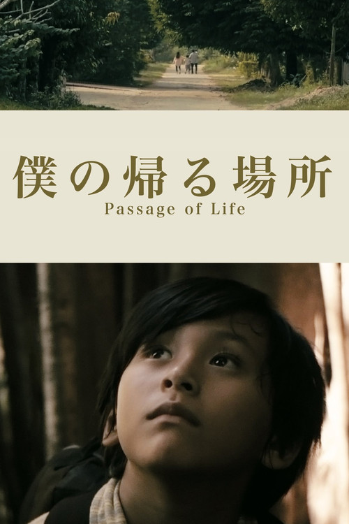 Passage of Life (2017) poster