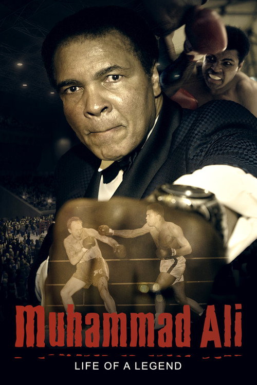 Muhammad Ali: Life of a Legend (2017) poster