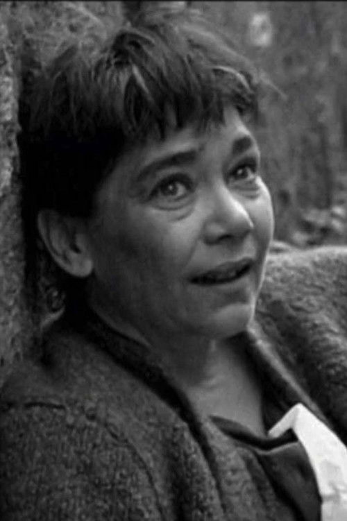 Impregnaciones en la señorita nieve y guitarra (2008) poster