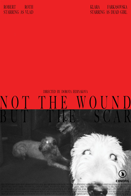 Not the Wound but the Scar (2025) poster