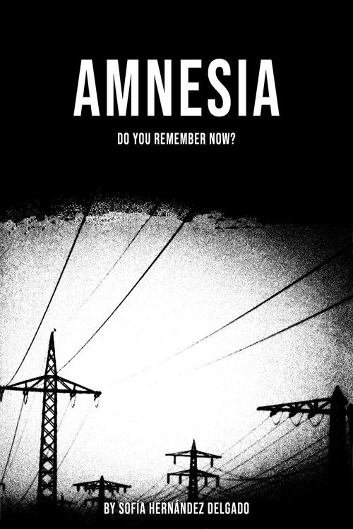 Amnesia (2024) poster