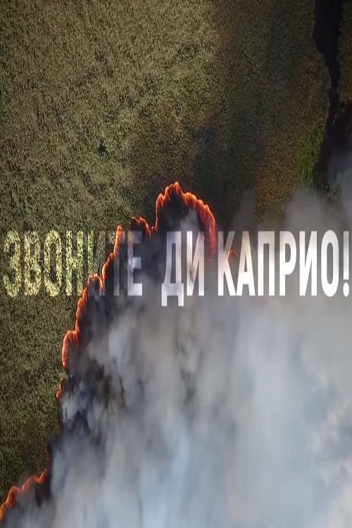 Call DiCaprio (2019) poster