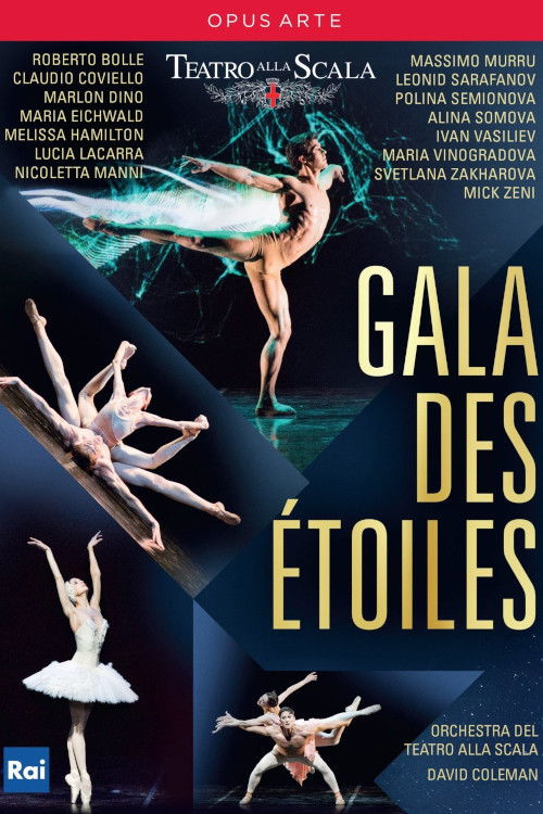 Gala des Étoiles (2015) poster