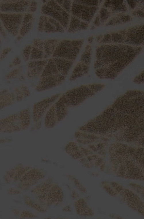 Organ Rhythms Under the Rain (2022) poster