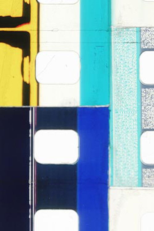 Head, Tail, Rail (2014) poster