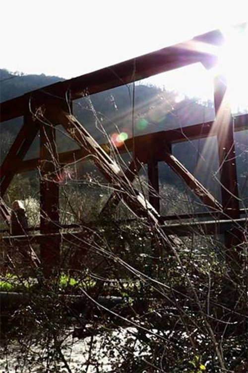 Negrea (2016) poster