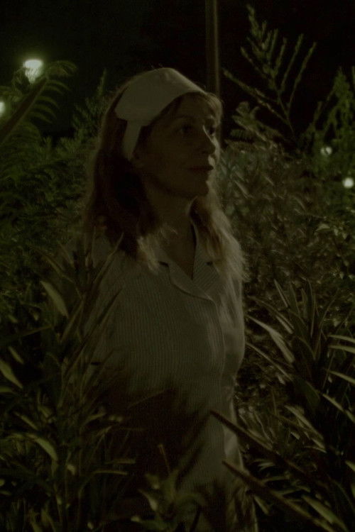 The Attacking Nurse (2018) poster