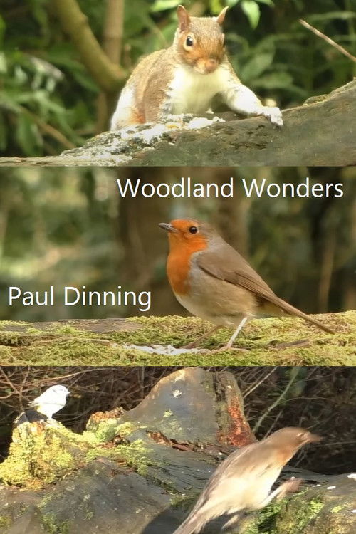 Woodland Wonders (2023) poster