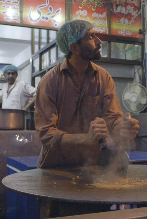 observation of hawks in the sky (2017) poster