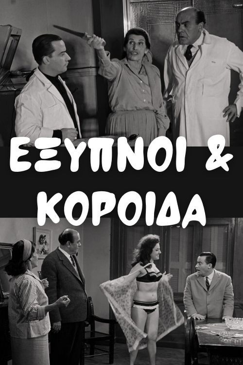 Έξυπνοι και Κορόιδα (1962) poster
