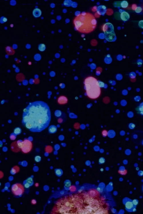 All Over (2001) poster