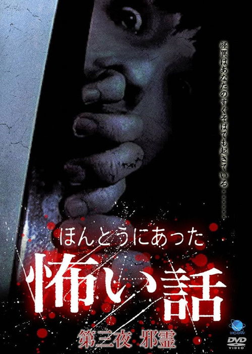 Scary True Stories: Night 3 (2005) poster