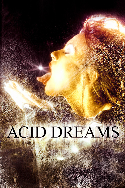 Acid Dreams (2003) poster