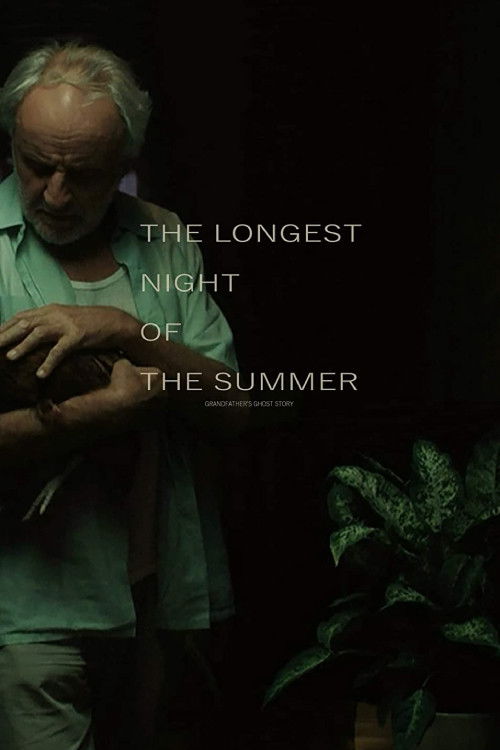 The Longest Night of the Summer (2021) poster