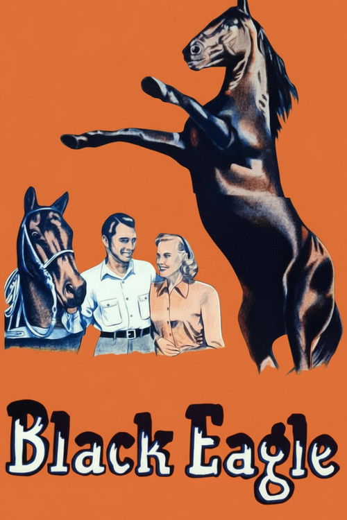 Black Eagle (1948) poster