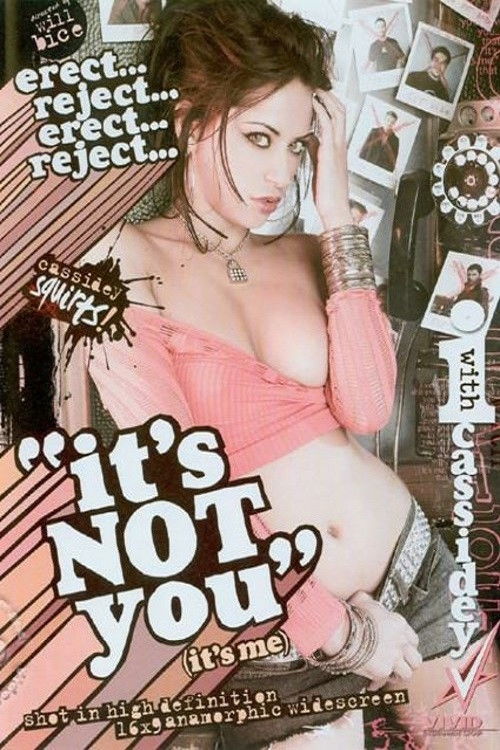 It's Not You (2006) poster