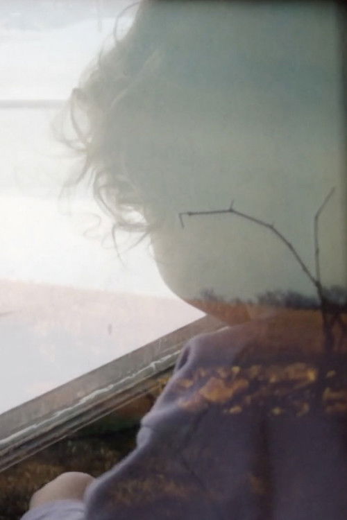 Continents Quiver as Memories Erupt into Earthflame (2019) poster