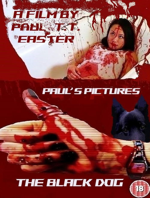 Black Dog (2022) poster