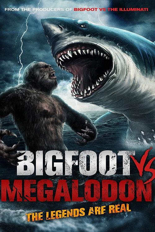 Bigfoot vs Megalodon (2021) poster