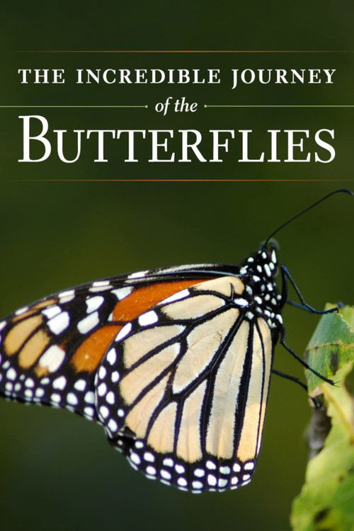 The Incredible Journey of the Butterflies (2009) poster
