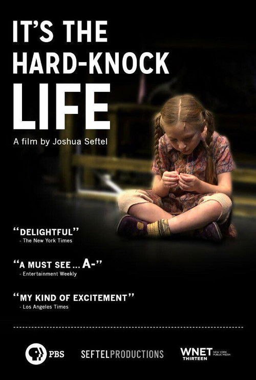 ANNIE: It's the Hard-Knock Life, from Script to Stage (2013) poster