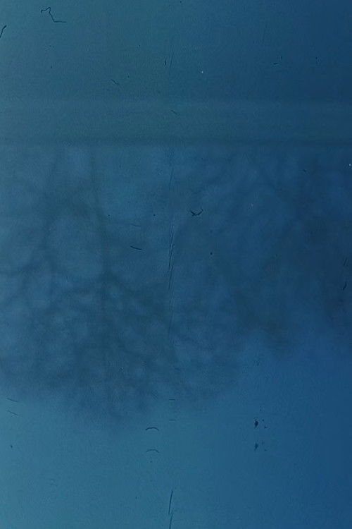 Austrian Pavilion (2019) poster