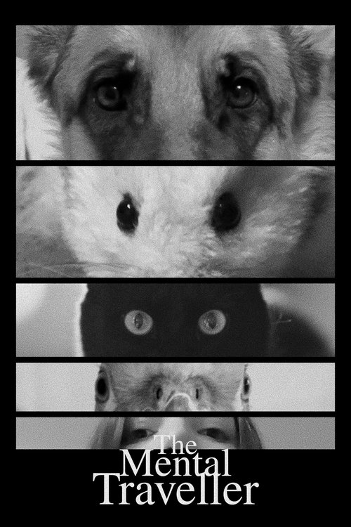 The Mental Traveller (2026) poster