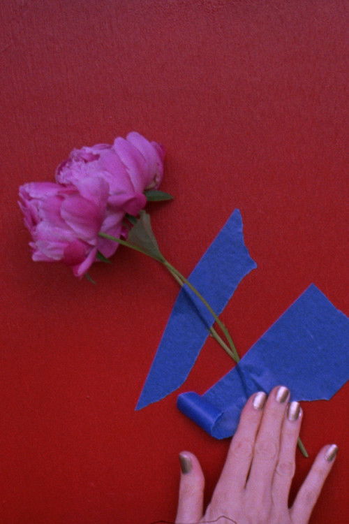 3 peonies (2018) poster