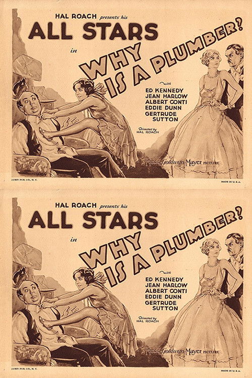 Why Is a Plumber? (1929) poster