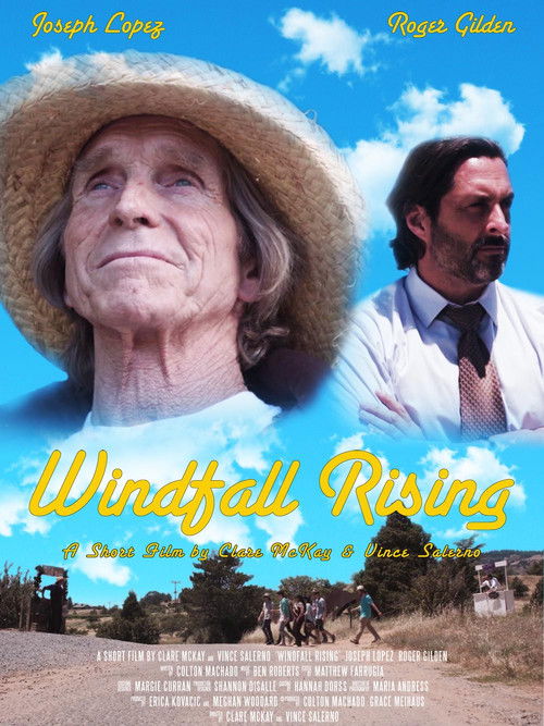 Windfall Rising (2017) poster