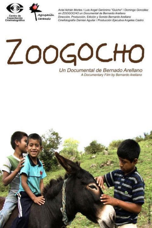 Zoogocho (2008) poster