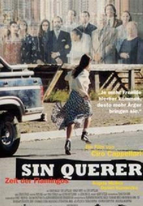 Sin querer (1997) poster