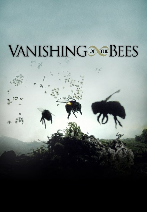 Vanishing of the Bees (2009) poster