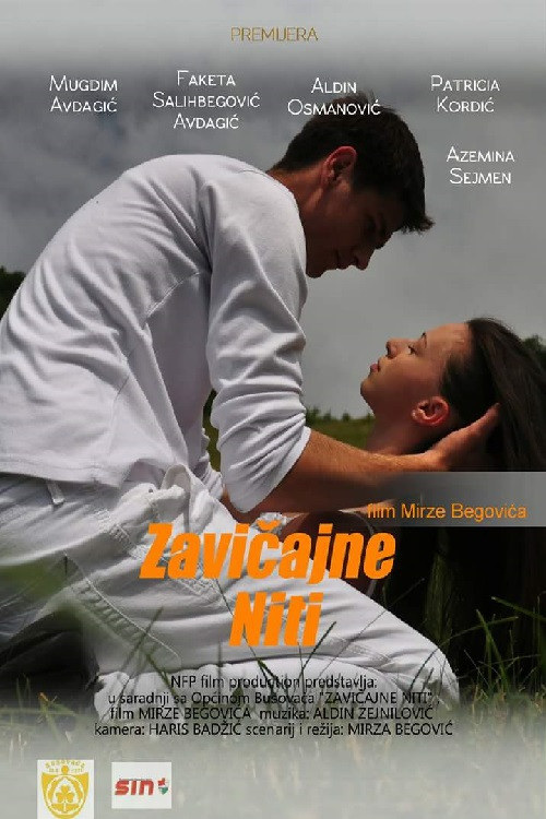 Threads of Homeland (2011) poster