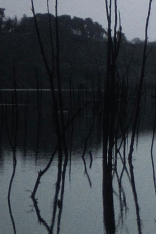 Sleeping waters (2016) poster