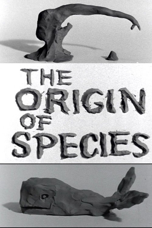 Clay or The Origin of Species (1965) poster