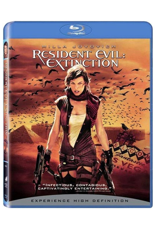 Resident Road Map: Reflections on the Future of the Series (2008) poster
