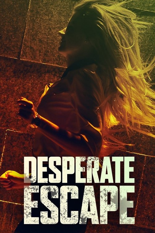 Desperate Escape (2009) poster
