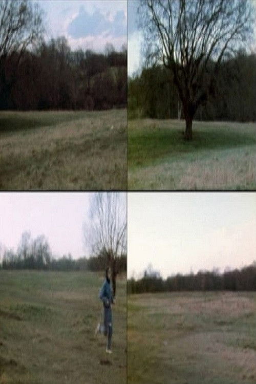 Wind Vane (1972) poster