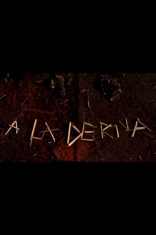 A La Deriva (2013) poster