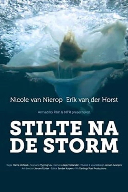 Stilte na de storm (2011) poster