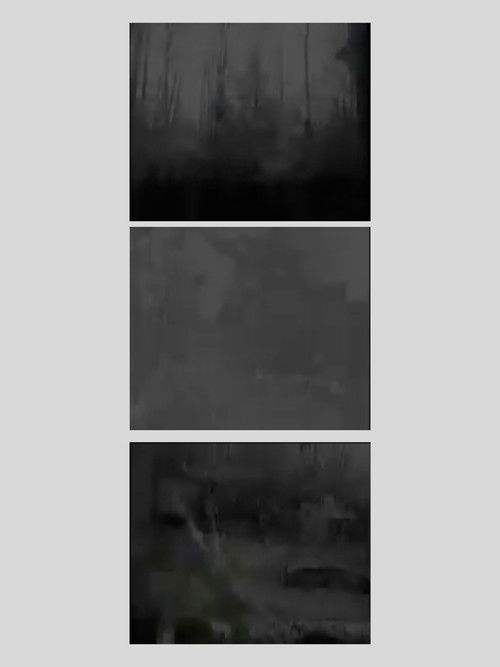 wood cart (2011) poster