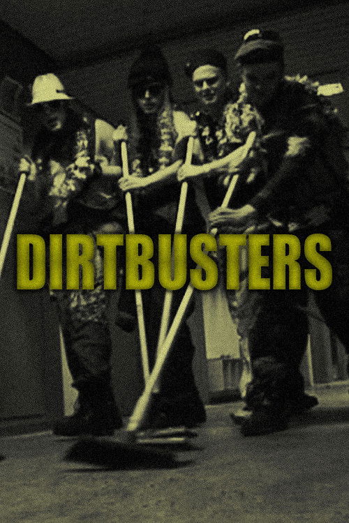 Dirtbusters (2013) poster