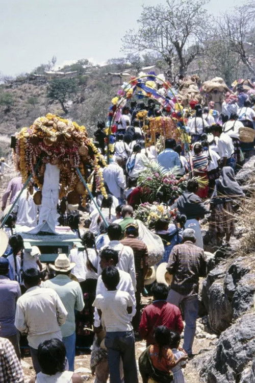 Peleas de tigres: Una petición de lluvia nahua (1987) poster