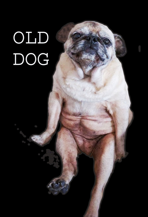 Old Dog (2017) poster