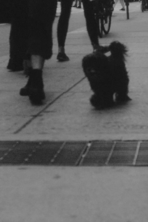 Norman (2018) poster