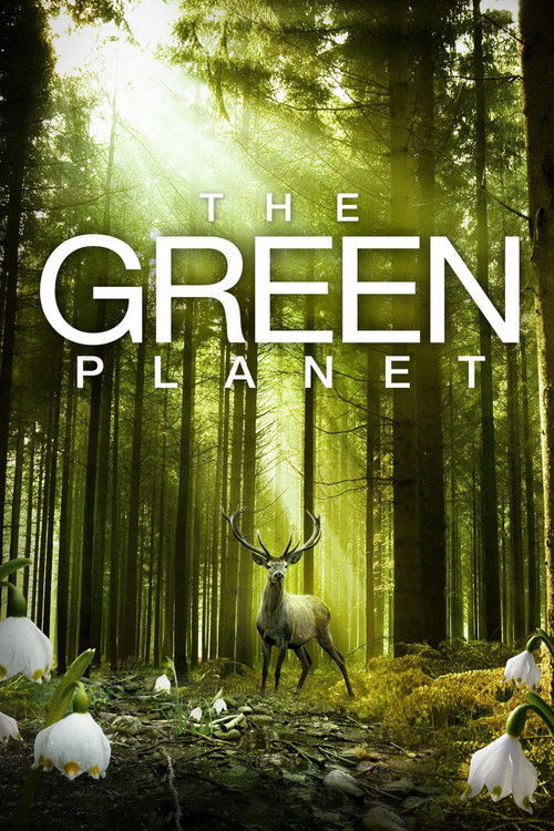 Das grüne Wunder - Unser Wald (2012) poster